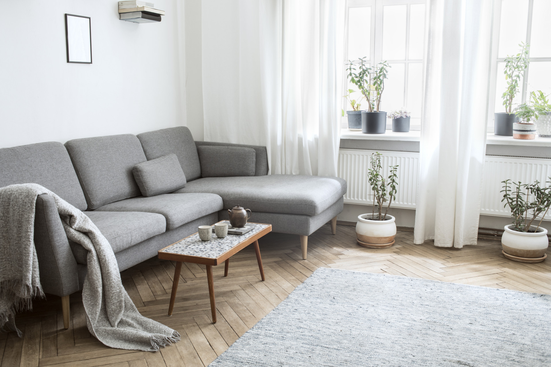 메인 비주얼 이미지